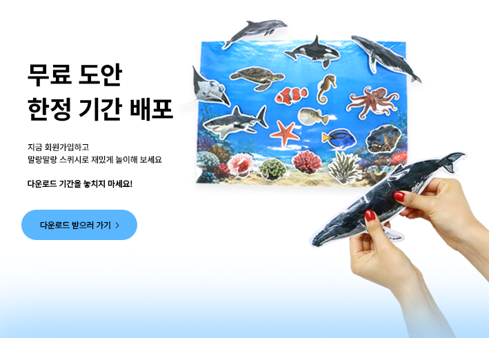 비주얼 이미지