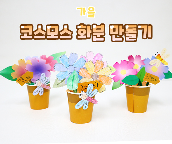코스모스화분만들기