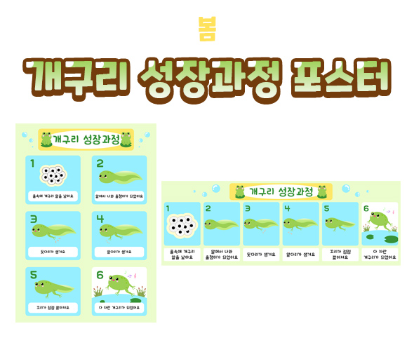 개구리성장과정포스터