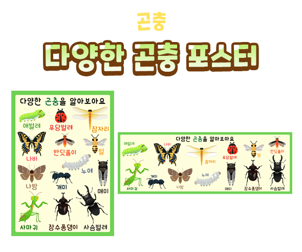다양한곤충포스터