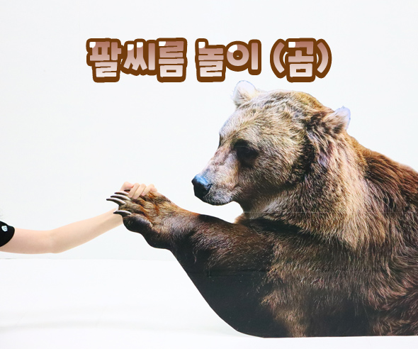 팔씨름놀이(곰)