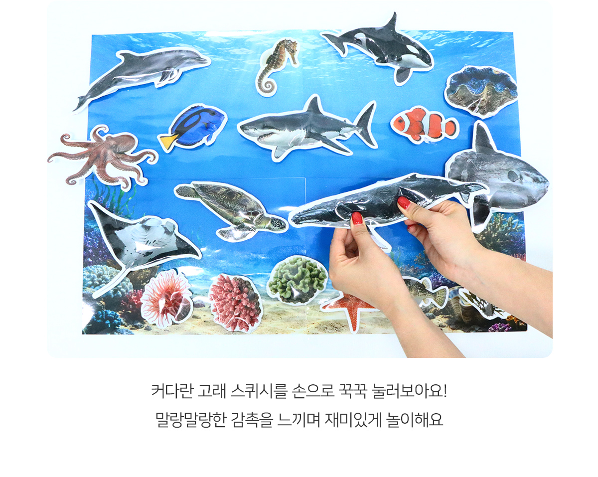 a8c1536893e86276ac7e3e90d50157da_1782181399_0554.jpg a8c1536893e86276ac7e3e90d50157da_1782181399_0554.jpg