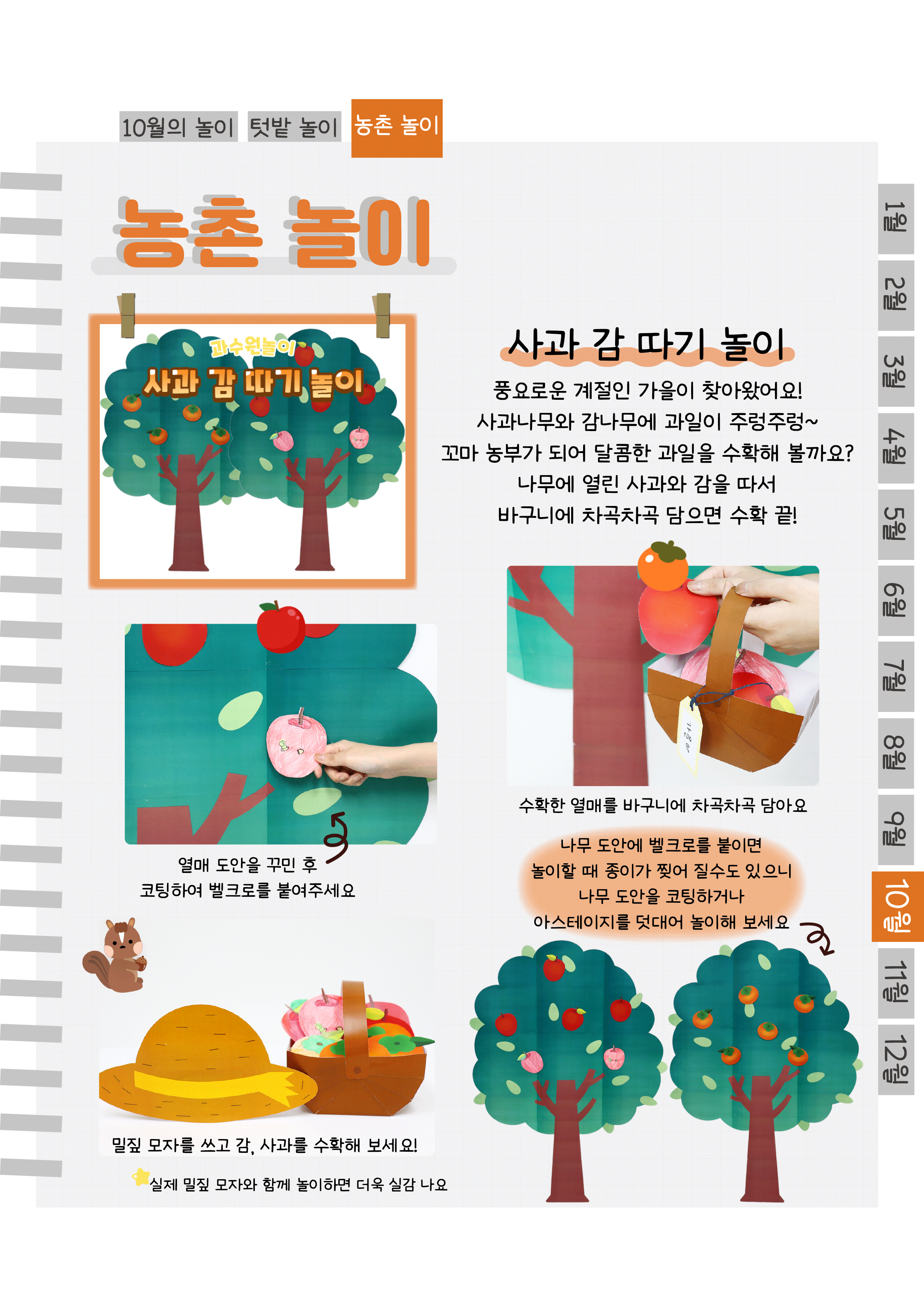 8사과,감.png