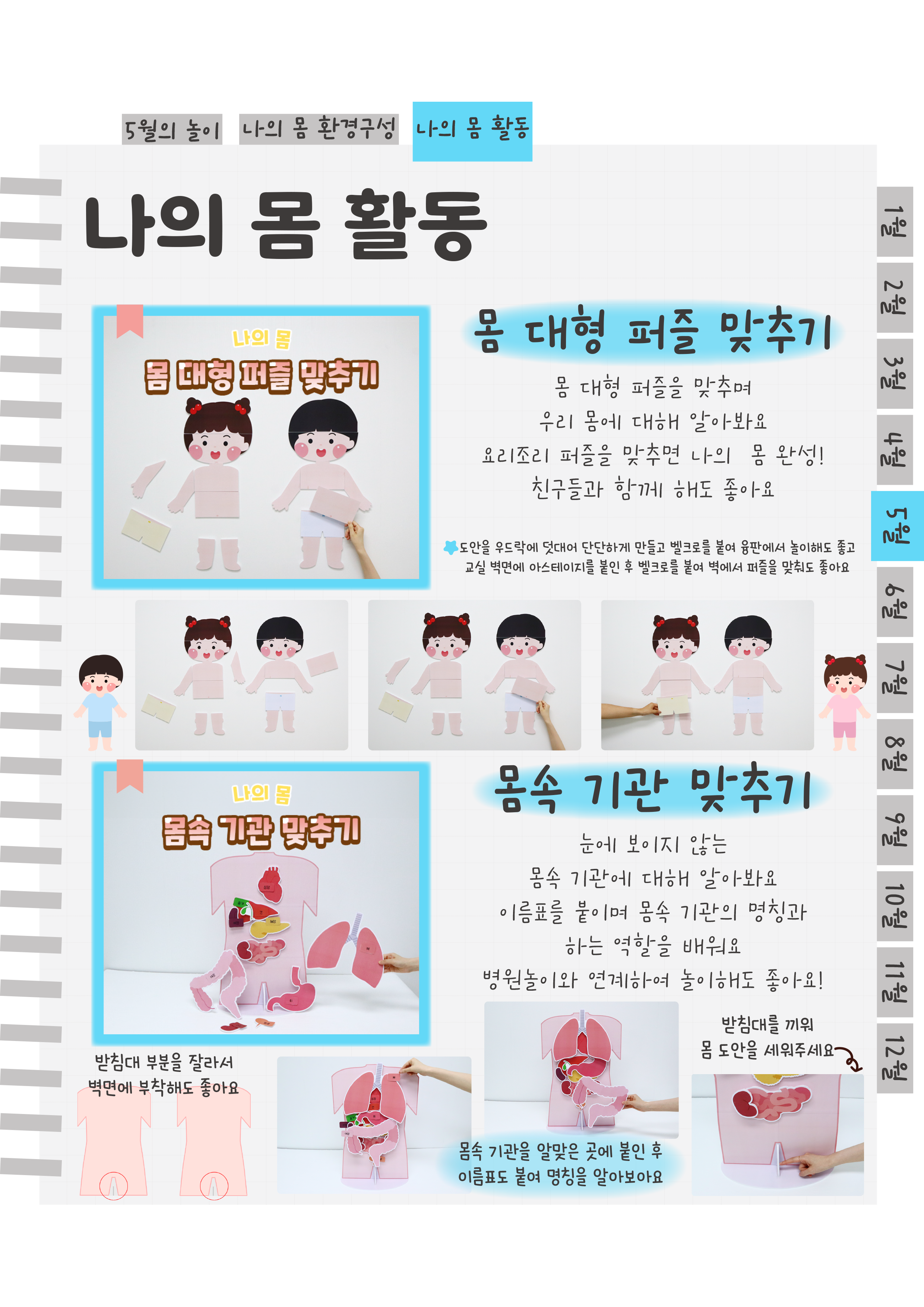 11몸대형퍼즐,몸속기관.png