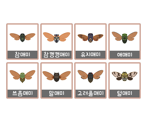 매미 액자