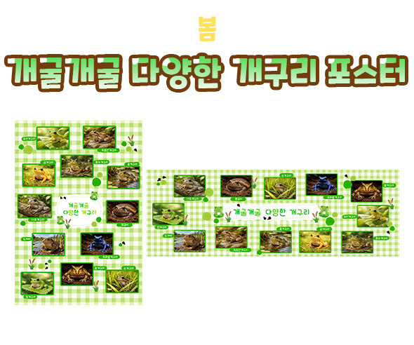 개굴개굴 다양한 개구리 포스터