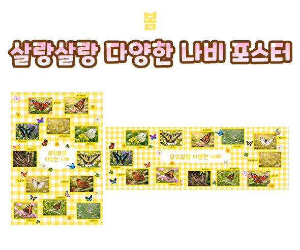 살랑살랑 다양한 나비 포스터