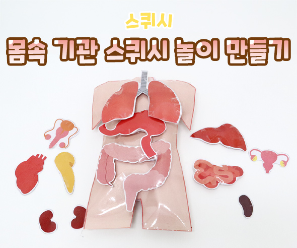 몸속 기관 스퀴시 만들기 놀이