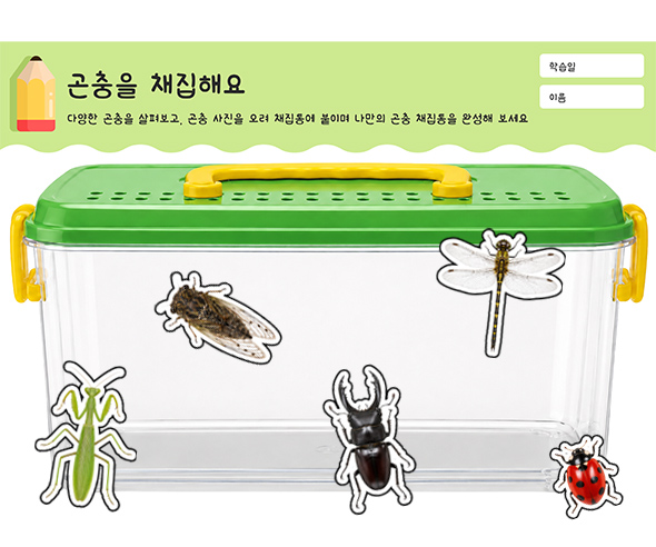 곤충을 채집해요