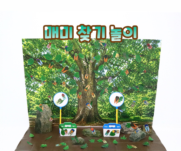 매미 찾기 놀이