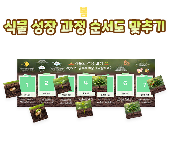 식물 성장 과정 순서도 맞추기