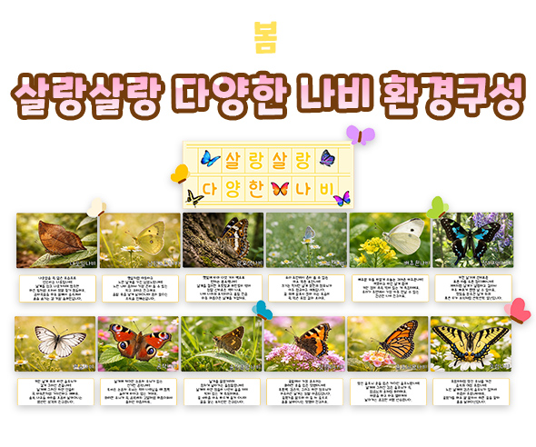 살랑살랑 다양한 나비 환경구성