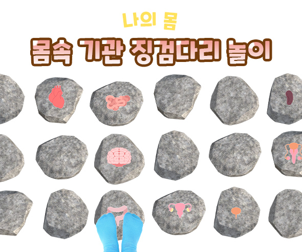몸속 기관 징검다리 놀이