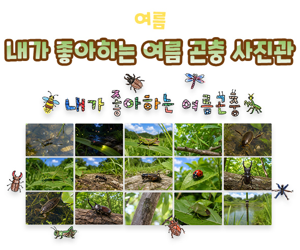 내가 좋아하는 여름 곤충 사진관