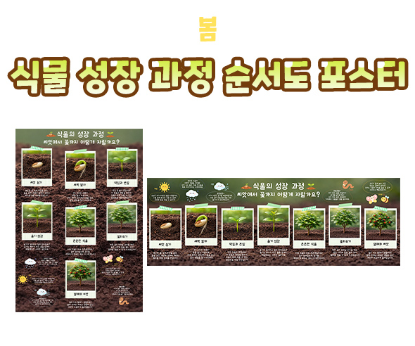 식물 성장 과정 순서도 포스터