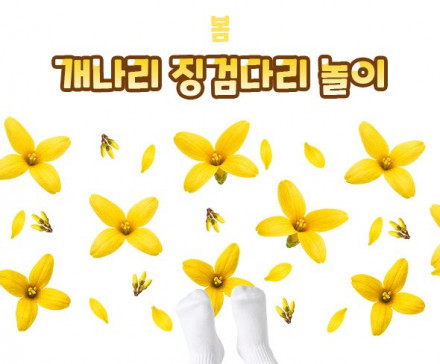 개나리 징검다리 놀이