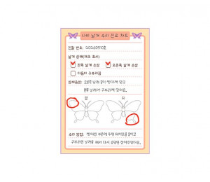 나비 날개 수리 진료 차트