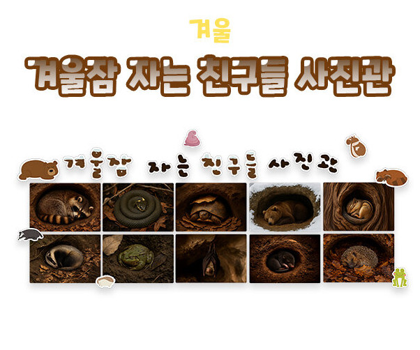 겨울잠 자는 친구들 사진관