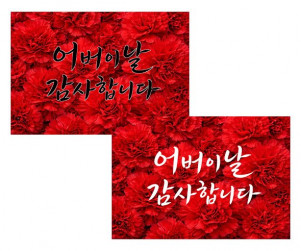 어버이날 카네이션 배경