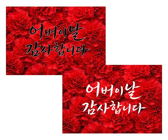어버이날 카네이션 배경