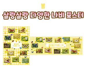 살랑살랑 다양한 나비 포스터