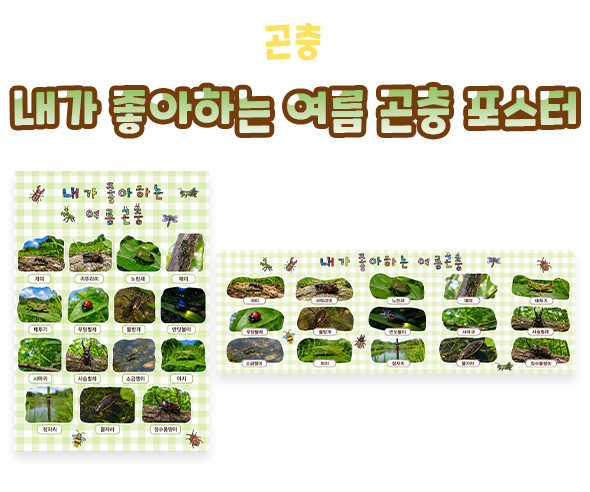 내가 좋아하는 여름 곤충 포스터