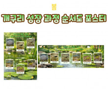 개구리 성장 과정 순서도 포스터