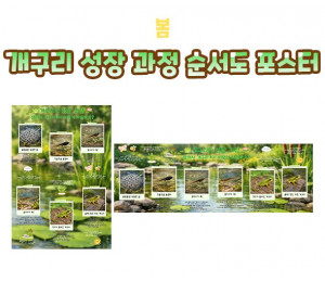 개구리 성장 과정 순서도 포스터
