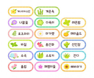 꽃 이름표