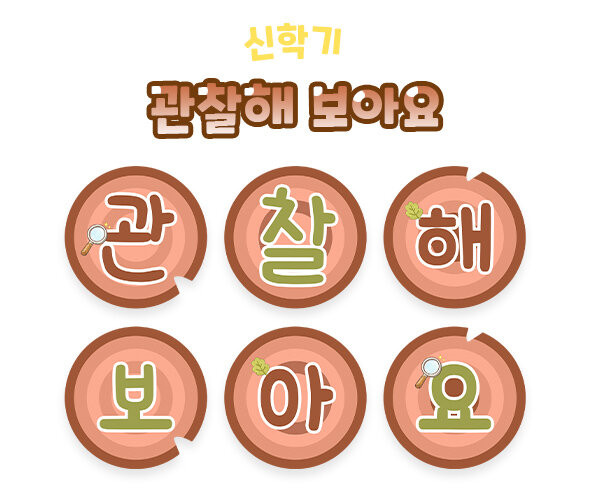 관찰해 보아요