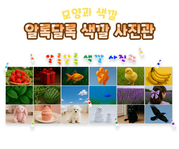 알록달록 색깔 사진관