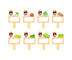 채소 푯말 화분 합성 이름표