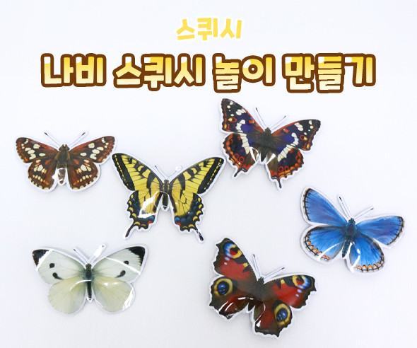 나비 스퀴시 놀이 만들기