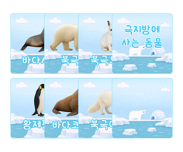 극지방에 사는 동물 카드