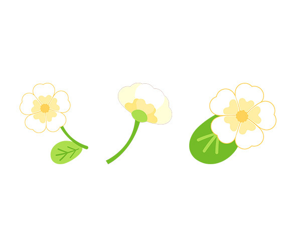꽃