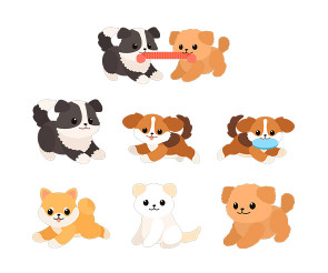 강아지 (개)