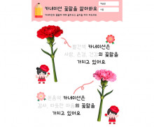 카네이션 꽃말을 알아봐요