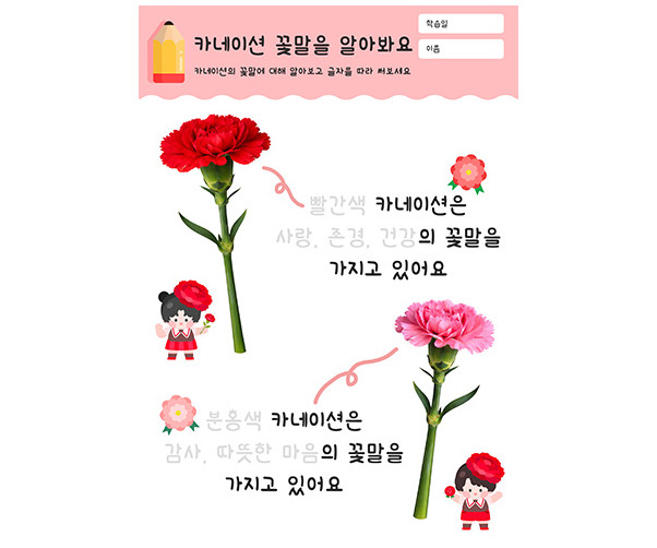 카네이션 꽃말을 알아봐요