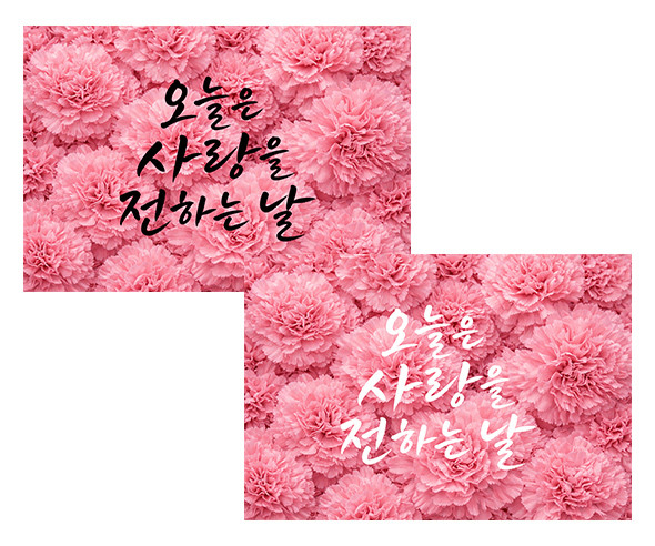 어버이날 카네이션 배경