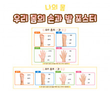 우리 몸의 손과 발 포스터