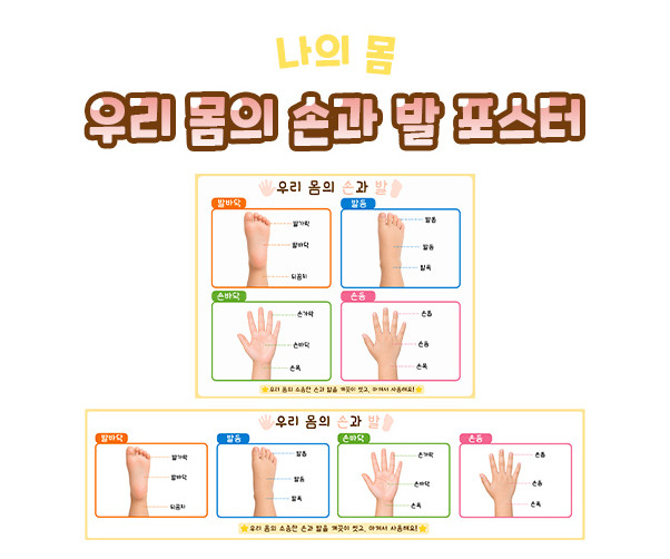 우리 몸의 손과 발 포스터