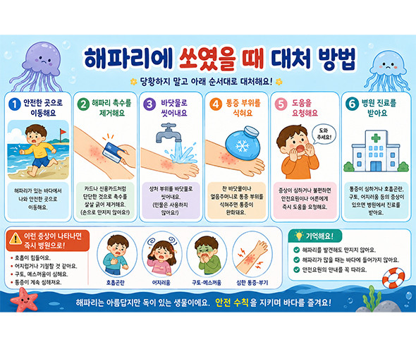 해파리 쏘였을 때 대처방법