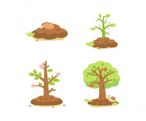 나무 성장과정 순서도
