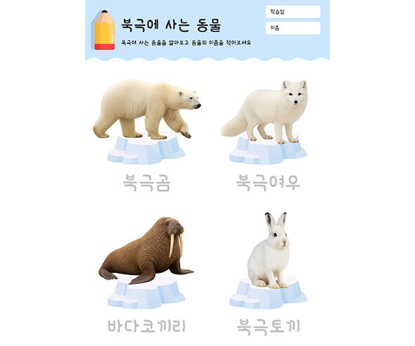 북극에 사는 동물