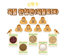 곡물 관찰판 (곡물포대)