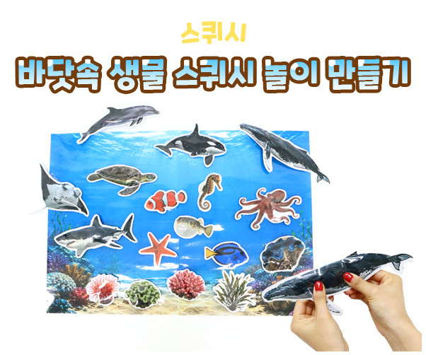 바닷속 생물 스퀴시 놀이 만들기