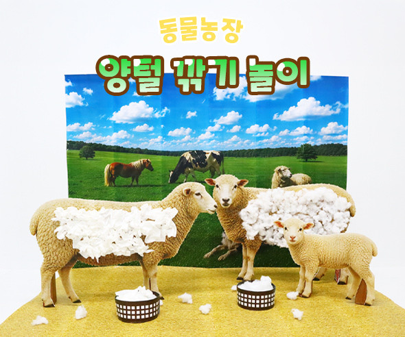 양털 깎기 놀이