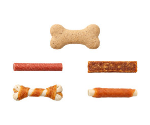 강아지 간식