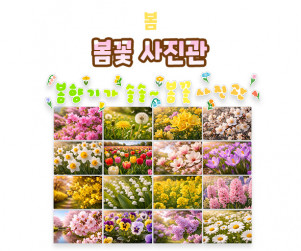 봄꽃 사진관