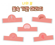 몸속 기관 머리띠